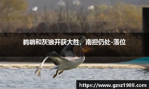 鹈鹕和灰狼开获大胜，南担仍处-落位
