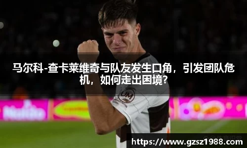 马尔科-查卡莱维奇与队友发生口角，引发团队危机，如何走出困境？