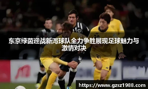 东京绿茵迎战新泻球队全力争胜展现足球魅力与激情对决